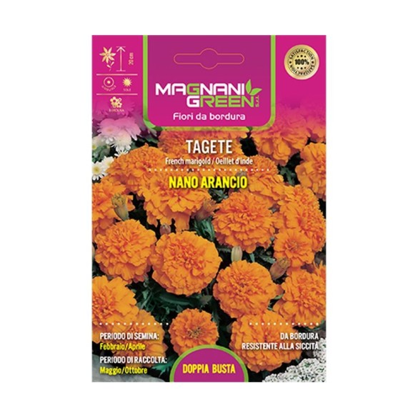 Semi di Tagete Nano Arancio