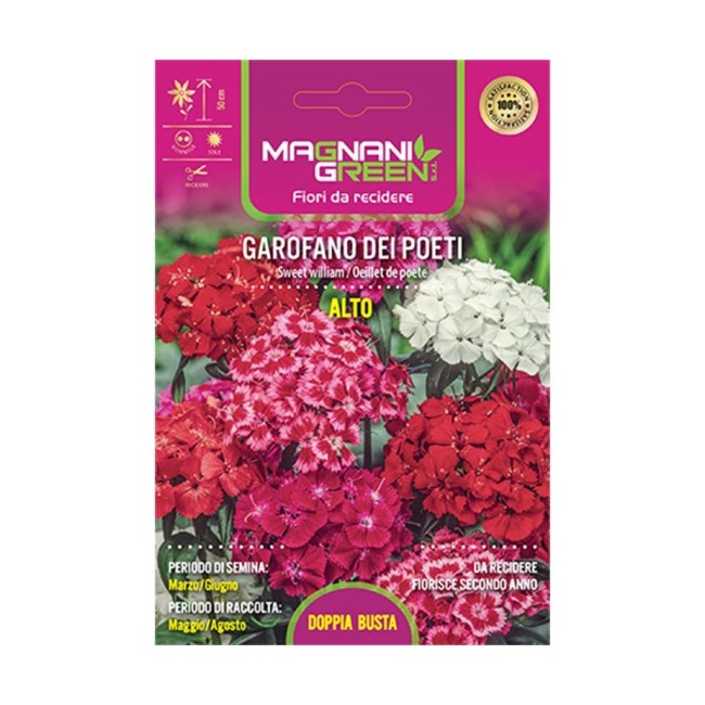 Semi di Garofano dei Poeti