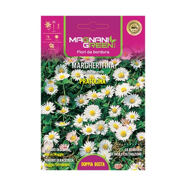 Semi di Margherita Pratolina