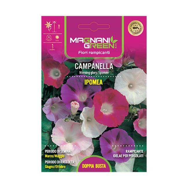 Semi di Campanella Ipomea