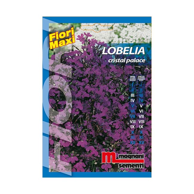 Semi di Lobelia Crystal Palace