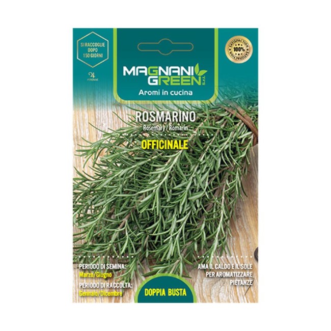 Semi di Rosmarino