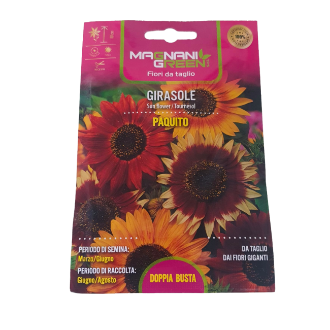 Semi di Girasole Paquito