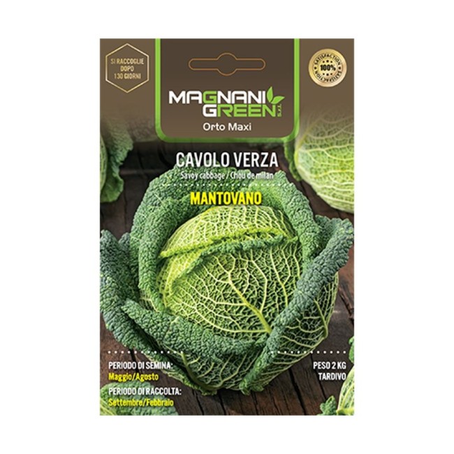 Semi Cavolo Verza Mantovano