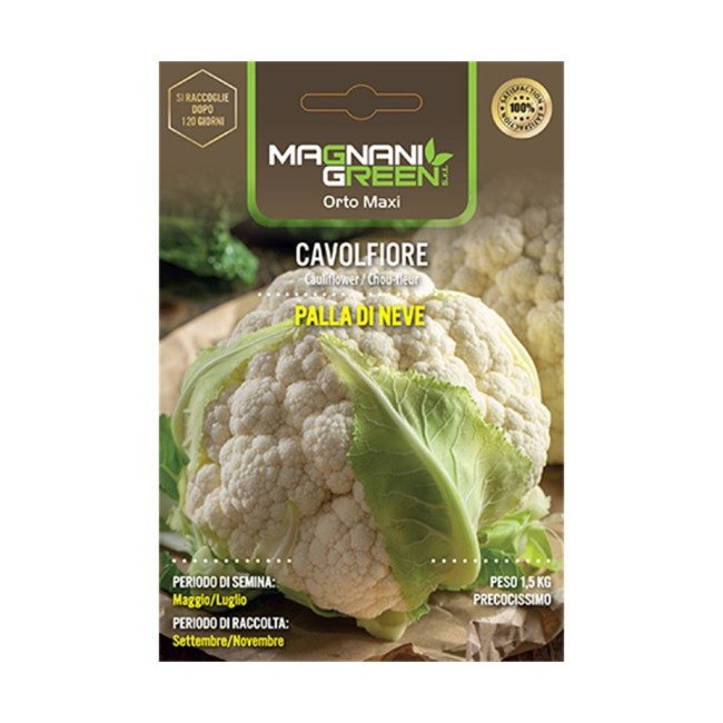 Semi Cavolfiore Palla di Neve