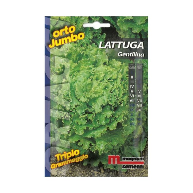 Semi di Lattuga Gentilina