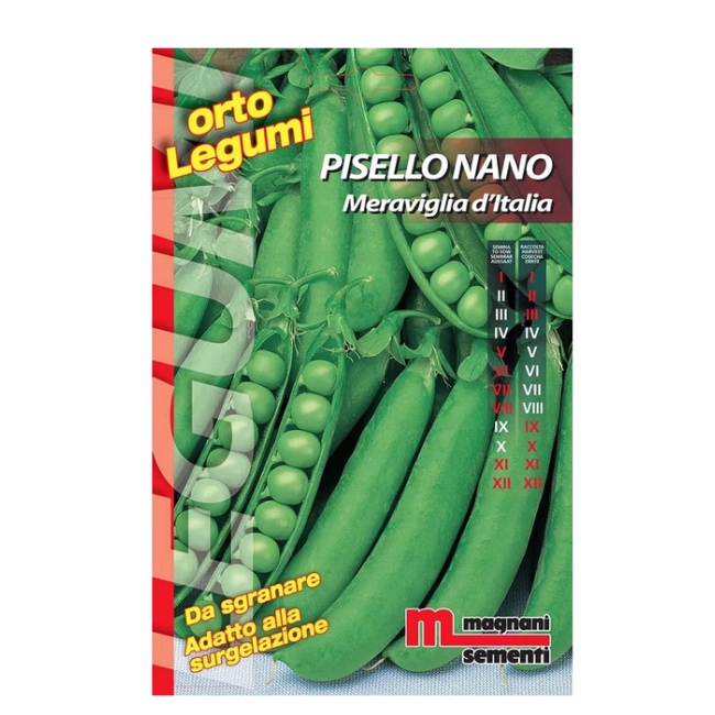 Semi di Pisello Nano Meraviglia D'Italia