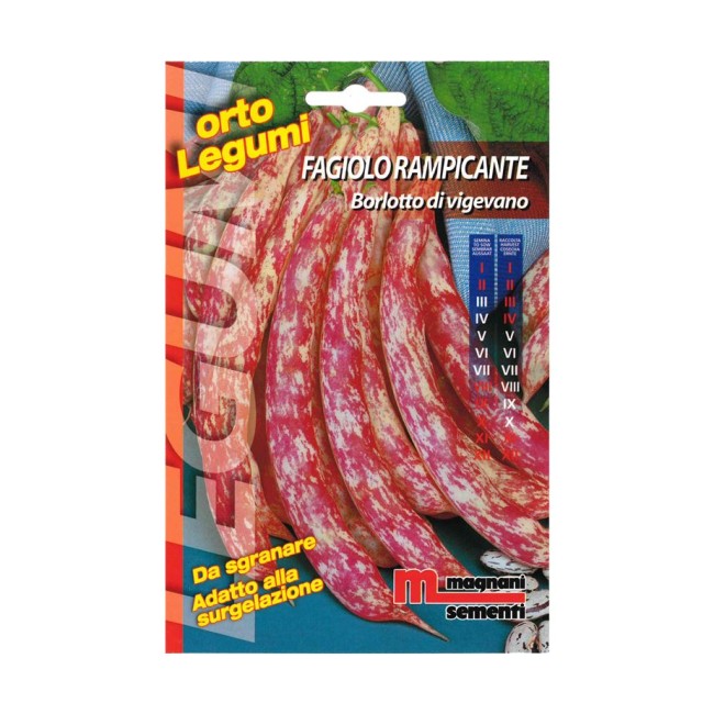 Semi di Fagiolo Rampicante Vigevano