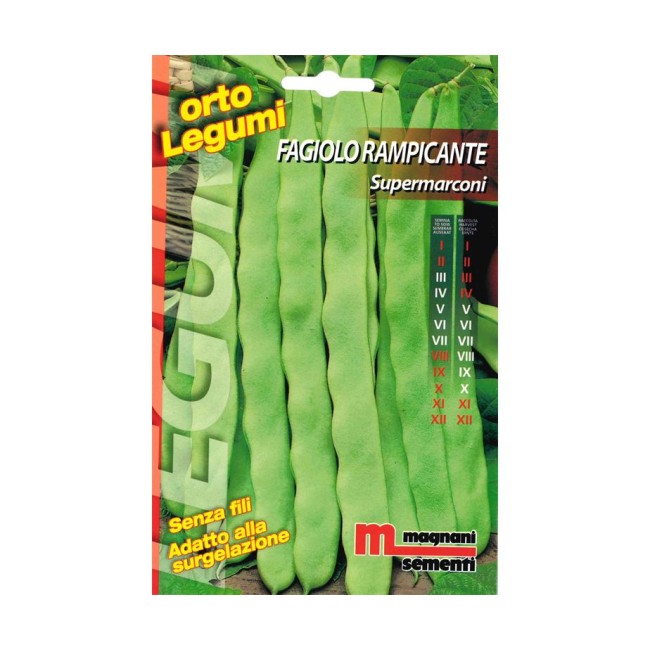 Semi di Fagiolo Rampicante Supermarconi