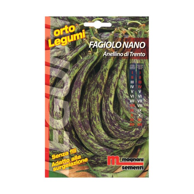 Semi di Fagiolo Anellino di Trento