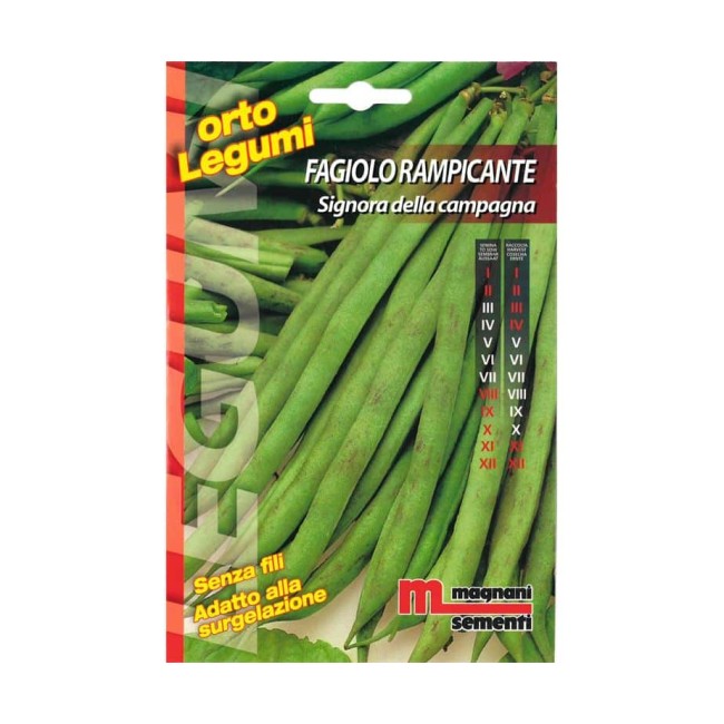 Semi di Fagiolo Signora della Campagna