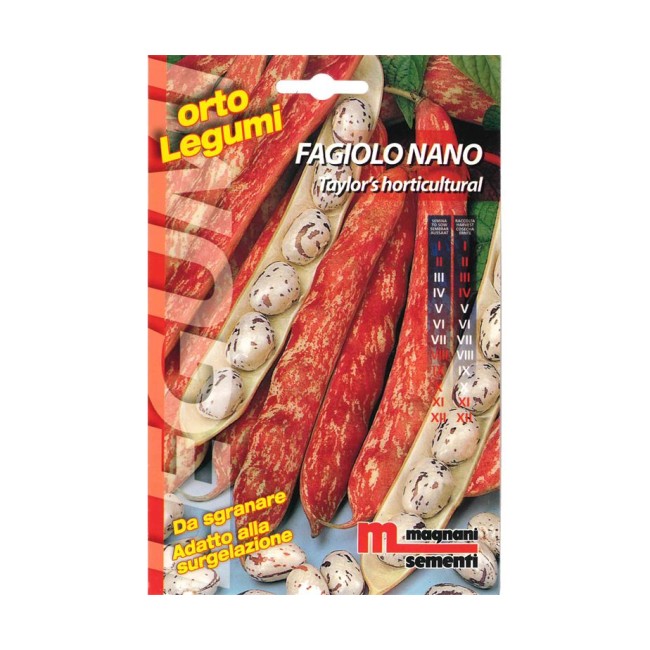 Semi di Fagiolo Nano Taylor's...