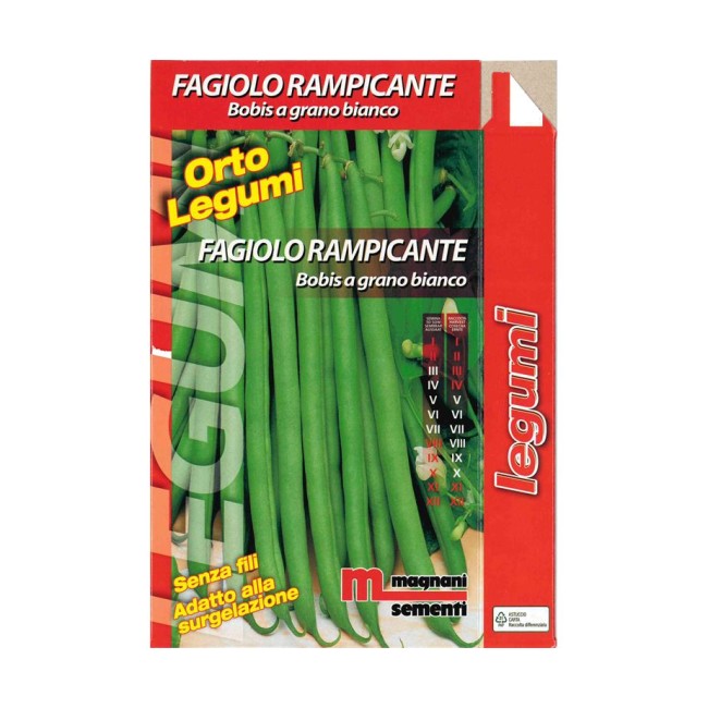 Semi di Fagiolo Rampicante Bobis Bianco