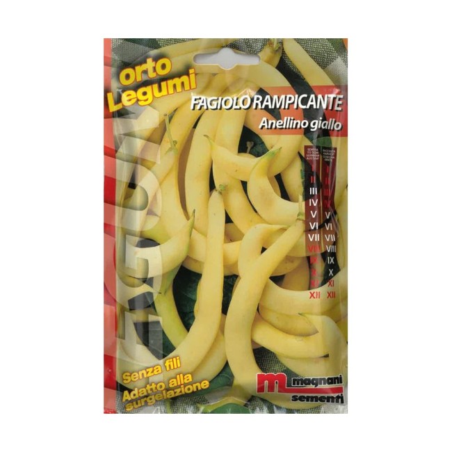 Semi di Fagiolo Anellino Giallo