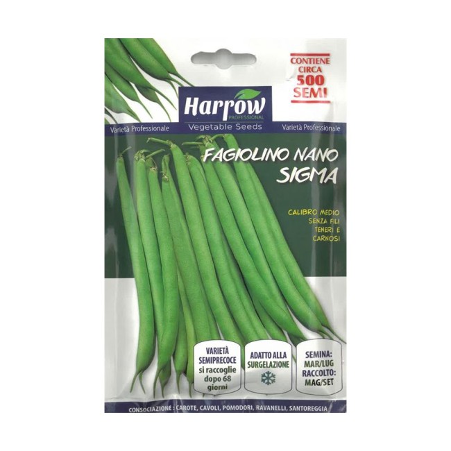 Semi di Fagiolo Nano Sigma 500 semi...