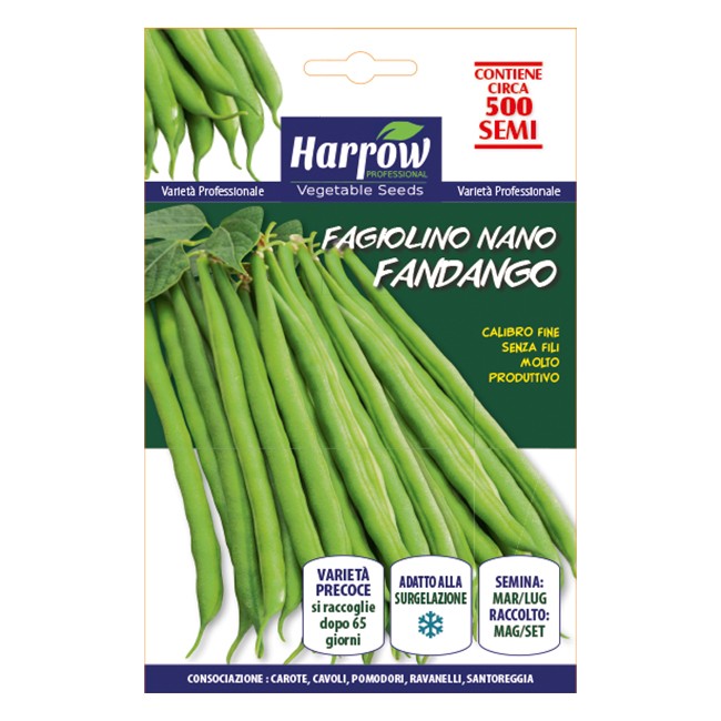 Semi di Fagiolo Nano Fandango 500...