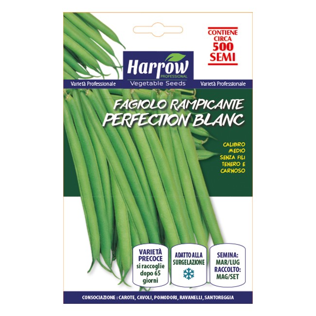 Semi di Fagiolo Rampicante...