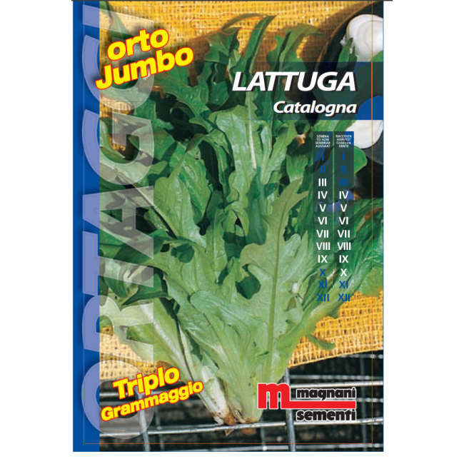 Semi di Lattuga Catalogna