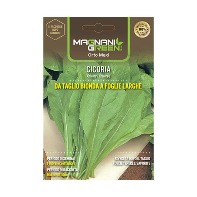 Semi di Cicoria da Taglio Foglia Larga