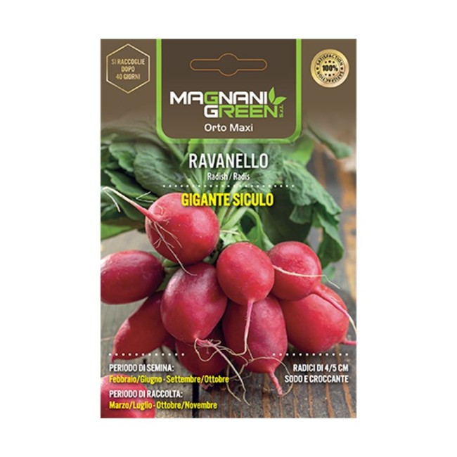 Semi di Ravanello Gigante Siculo