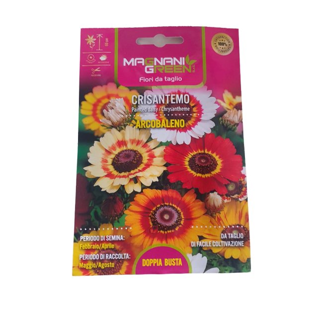 Semi di Crisantemo Arcobaleno