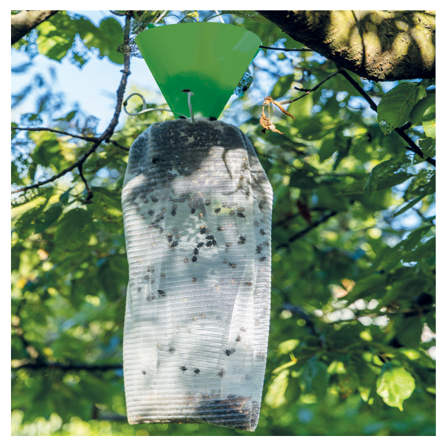 Trappola Popillia Japonica Flortis