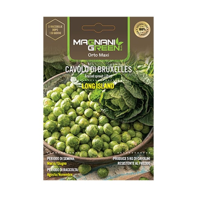 Semi Cavolo di Bruxelles