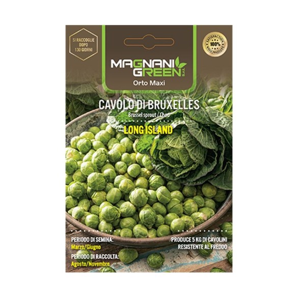 Semi Cavolo di Bruxelles