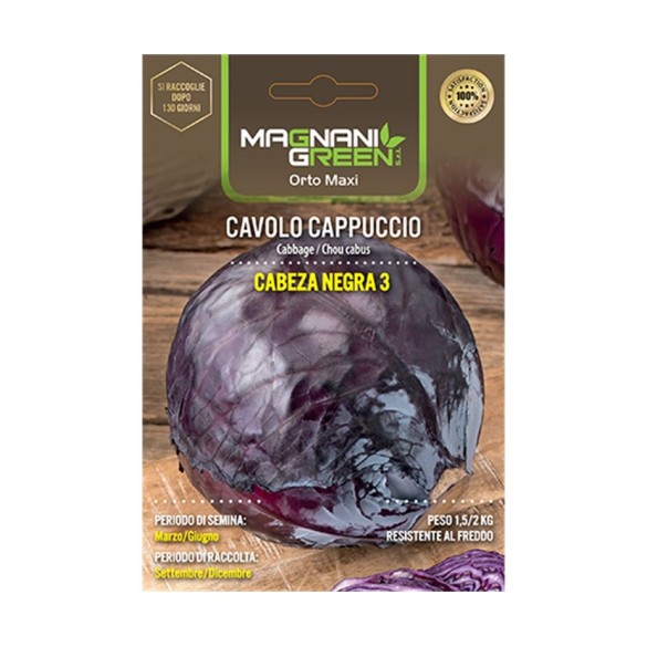 Semi di Cavolo Cabeza Negra