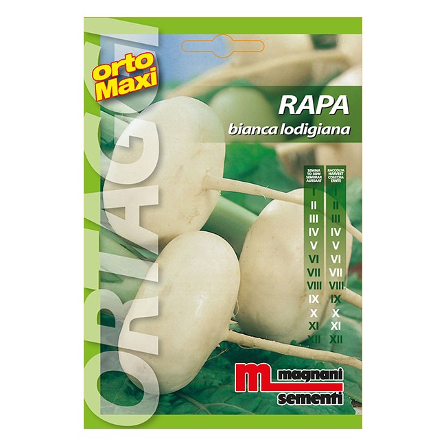 Semi di Rapa Bianca Lodigiana