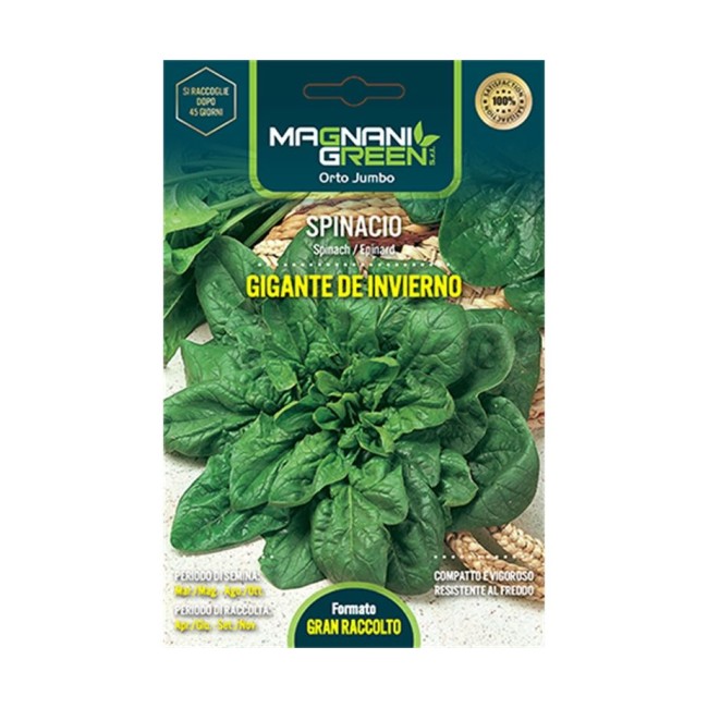 Semi di Spinacio Gigante di Inverno...