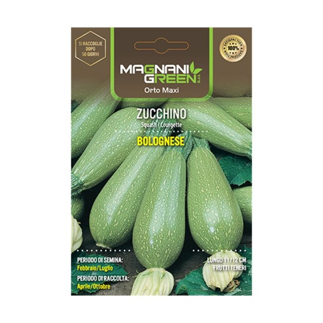 Semi di Zucchino Bolognese