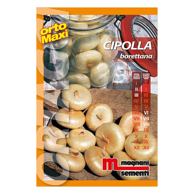 Semi di Cipolla Borrettana