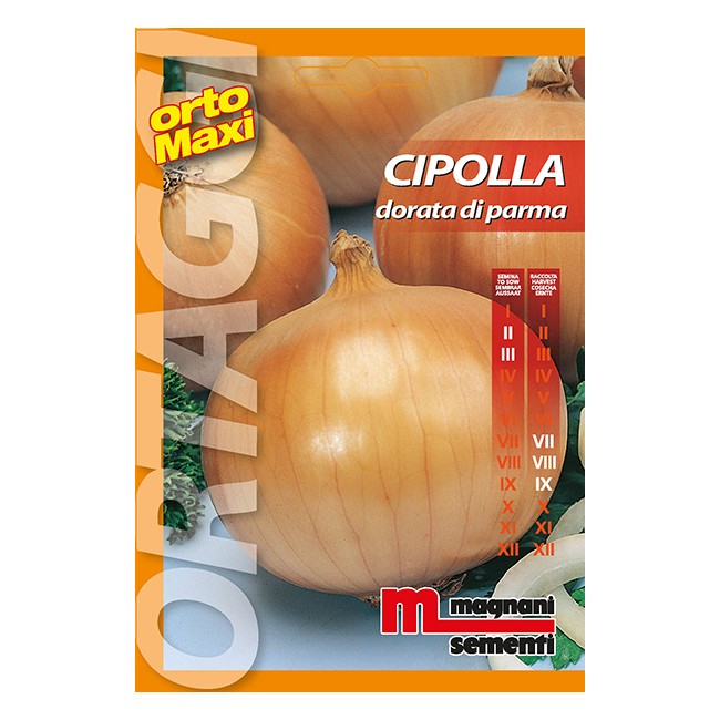 Semi di Cipolla Dorata Parma