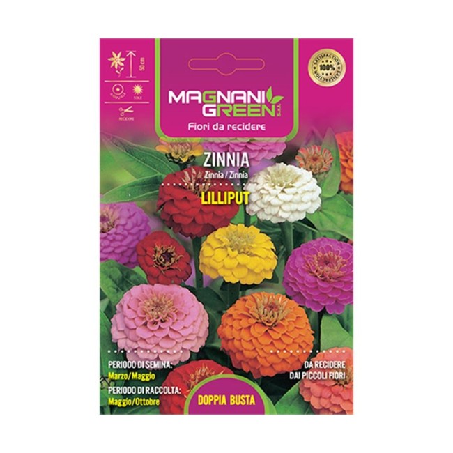 Semi di Zinnia Lilliput