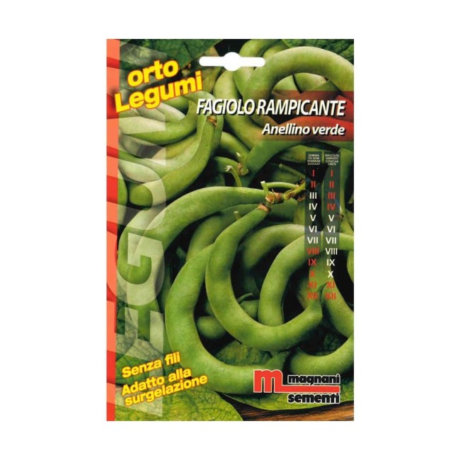 Semi di Fagiolo Rampicante Anellino...