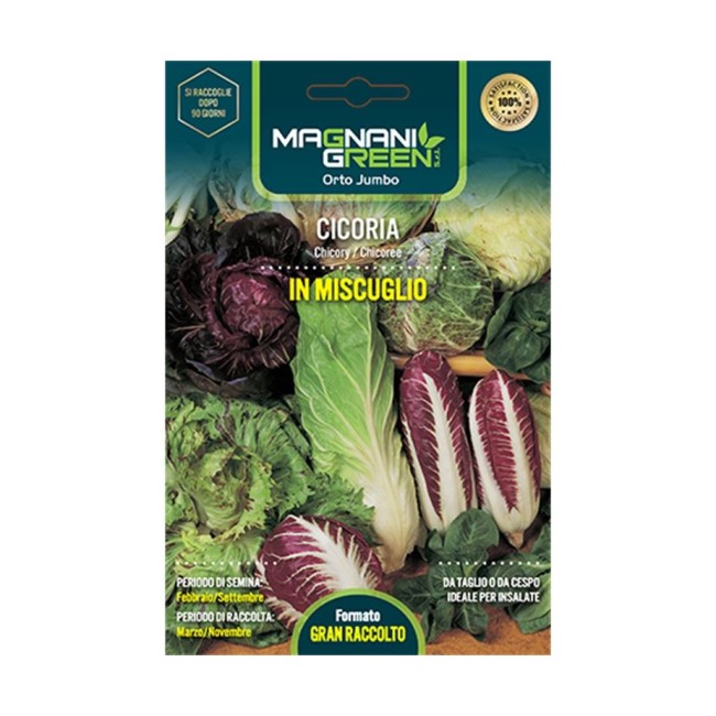 Semi di Cicoria In Miscuglio