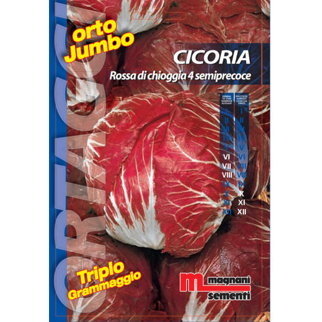 Semi di Cicoria Orchidea Rossa