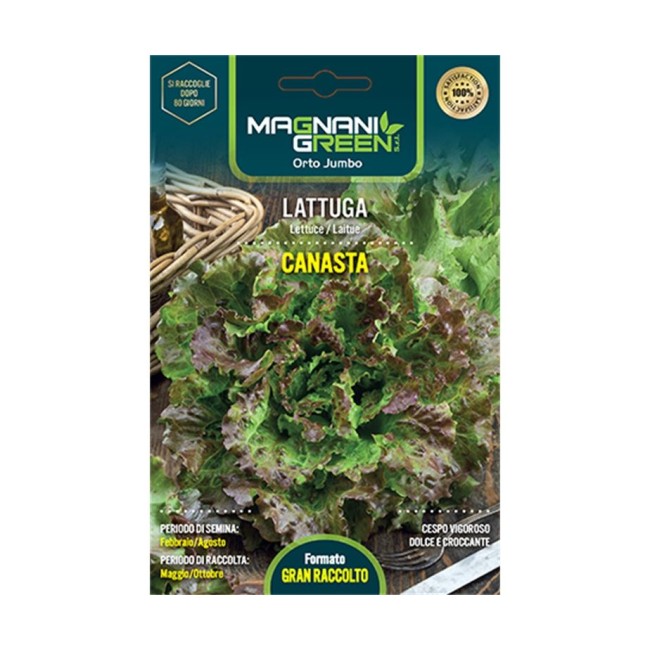 Semi Lattuga Maravilla de Verano...