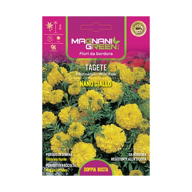 Semi di Tagete Nano Giallo