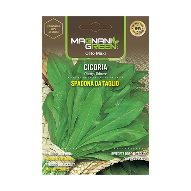 Semi di Cicoria Spadona da Taglio...